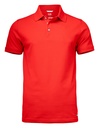 ADVANTAGE POLO