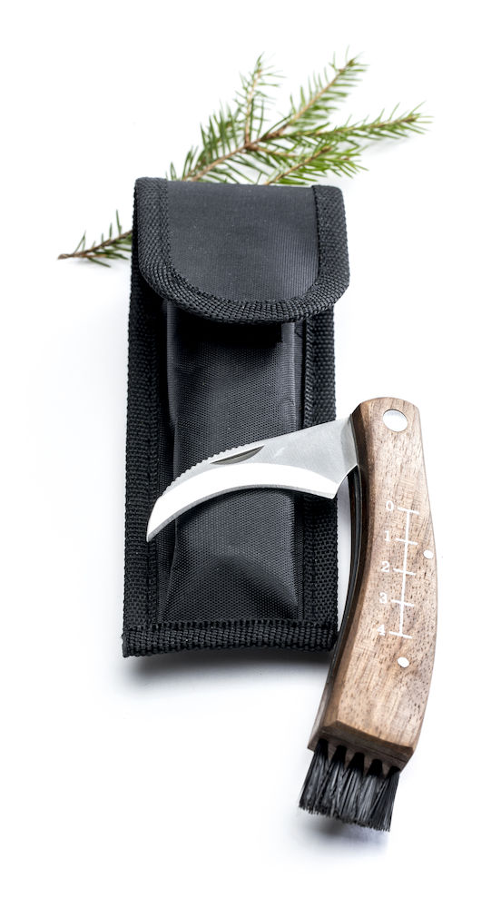 Mushroom picking knife in a sheath