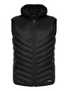 MOUNT ADAMS VEST