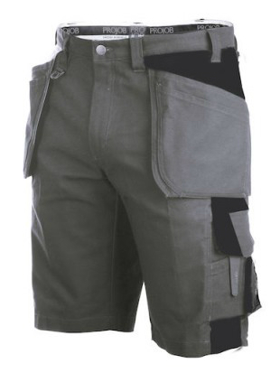 [645527] SHORTS