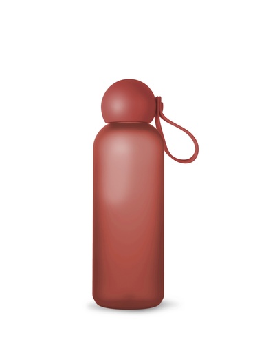 [5018746] WATER BOTTLE TOM, BORDEAUX