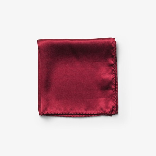 [2920500] SOLID HANKIE & LAPEL PIN